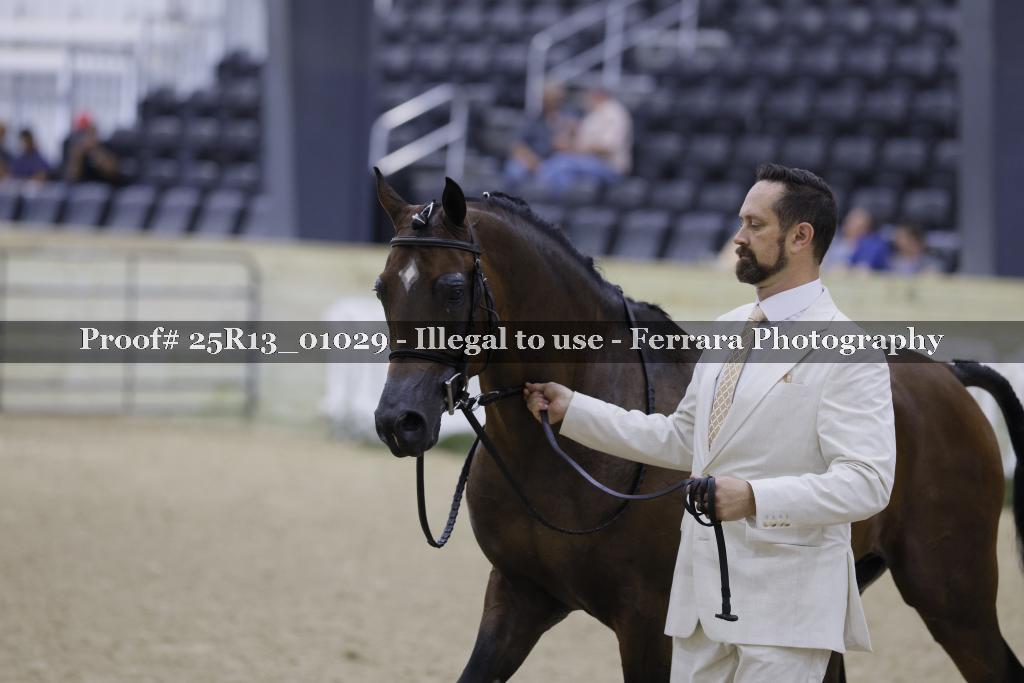 Proof 25R13_01029