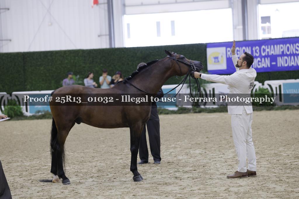 Proof 25R13_01032