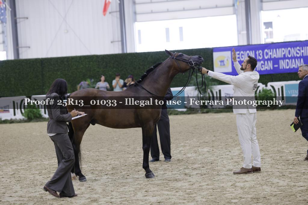 Proof 25R13_01033