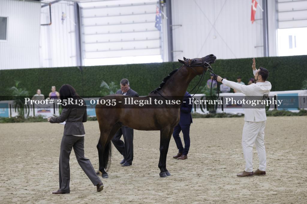 Proof 25R13_01035