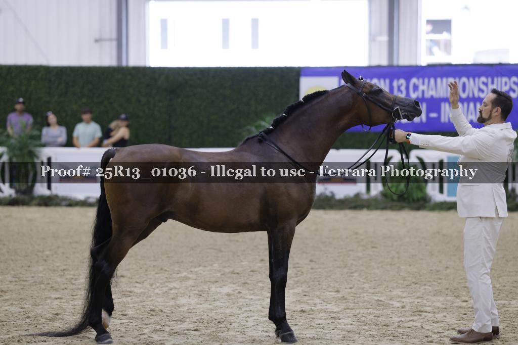 Proof 25R13_01036