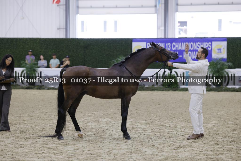 Proof 25R13_01037