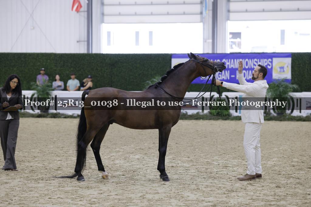 Proof 25R13_01038