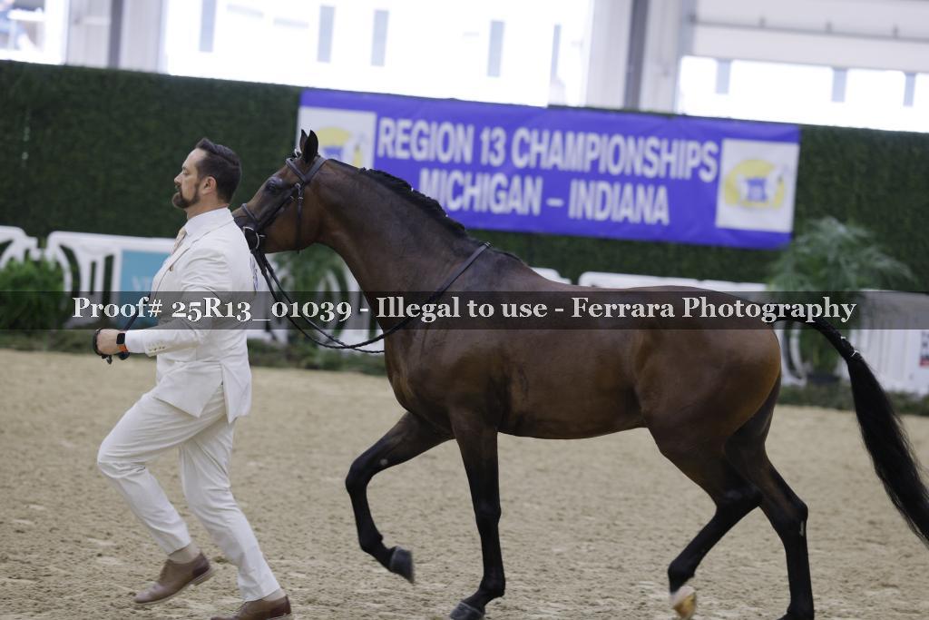 Proof 25R13_01039