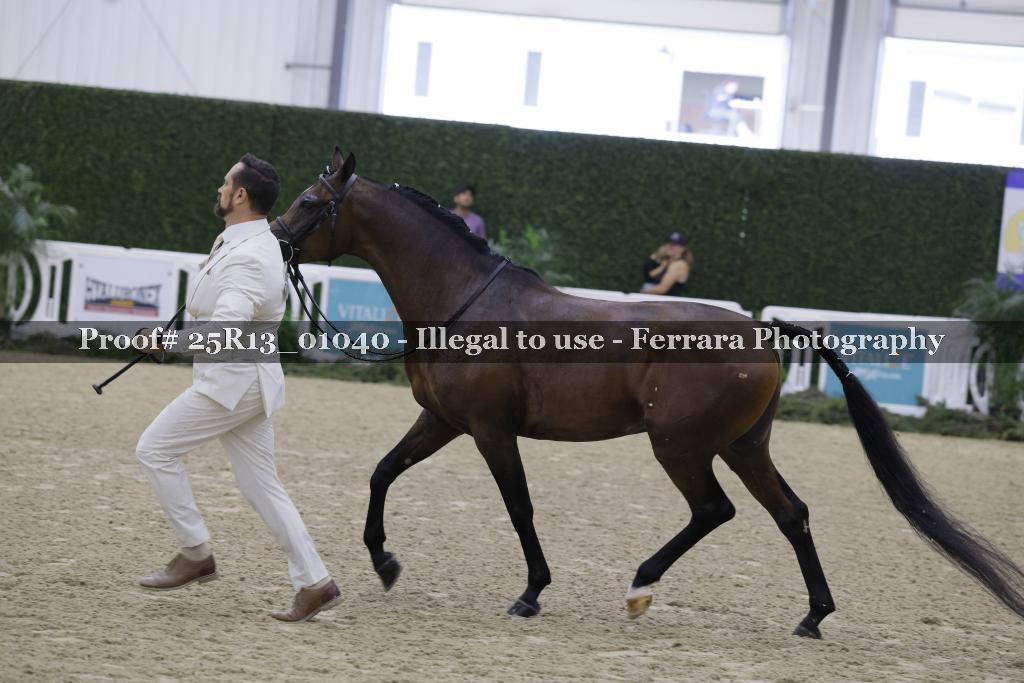 Proof 25R13_01040