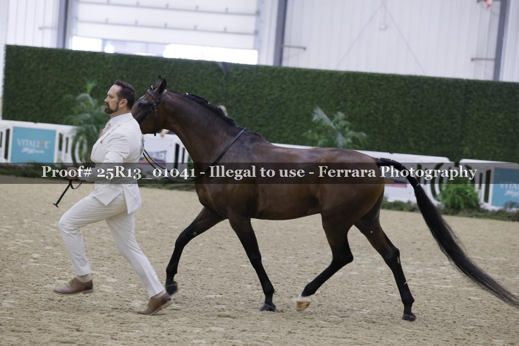 Proof 25R13_01041