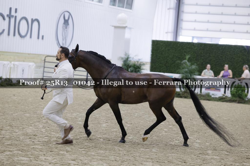 Proof 25R13_01042