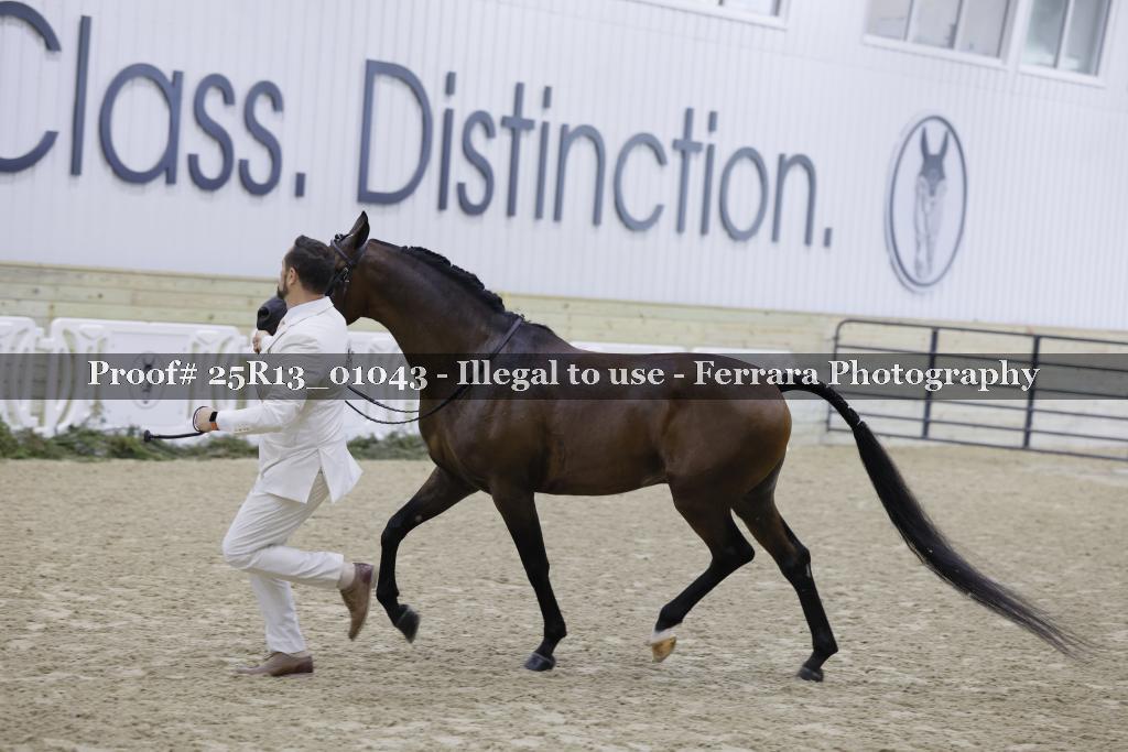 Proof 25R13_01043