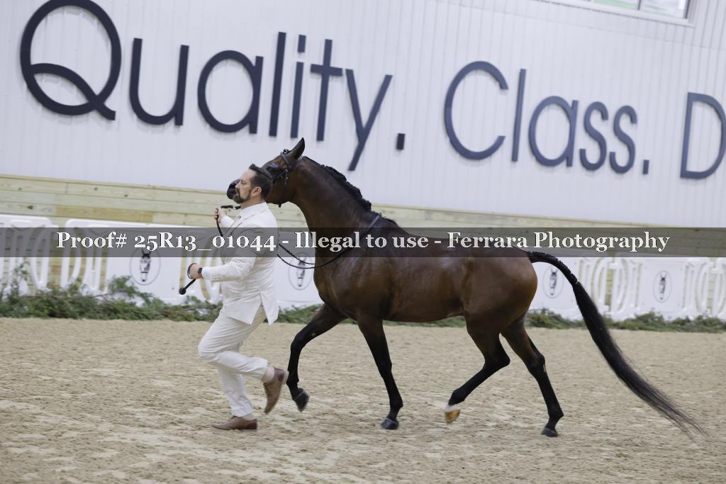 Proof 25R13_01044