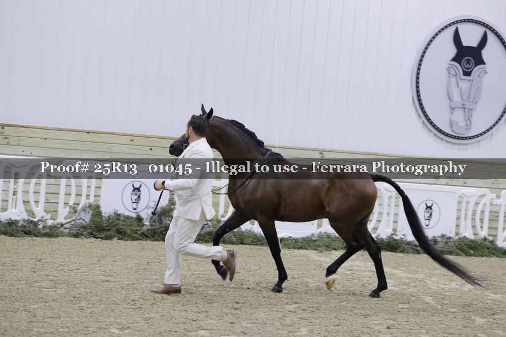 Proof 25R13_01045