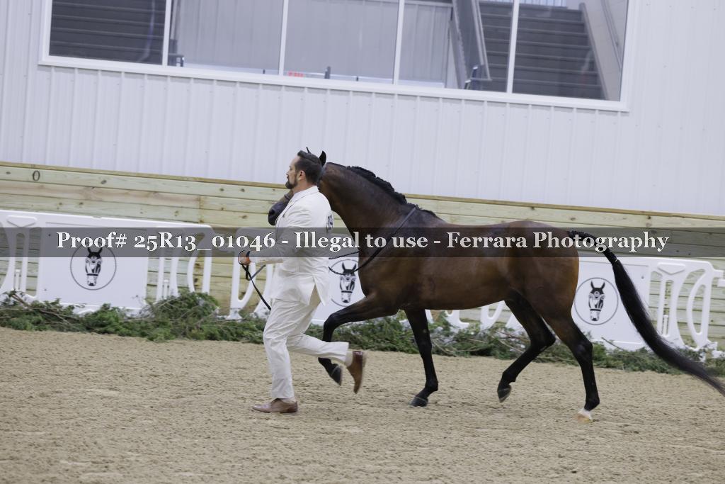 Proof 25R13_01046