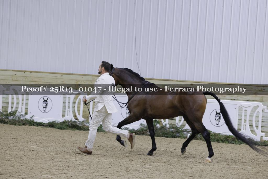 Proof 25R13_01047