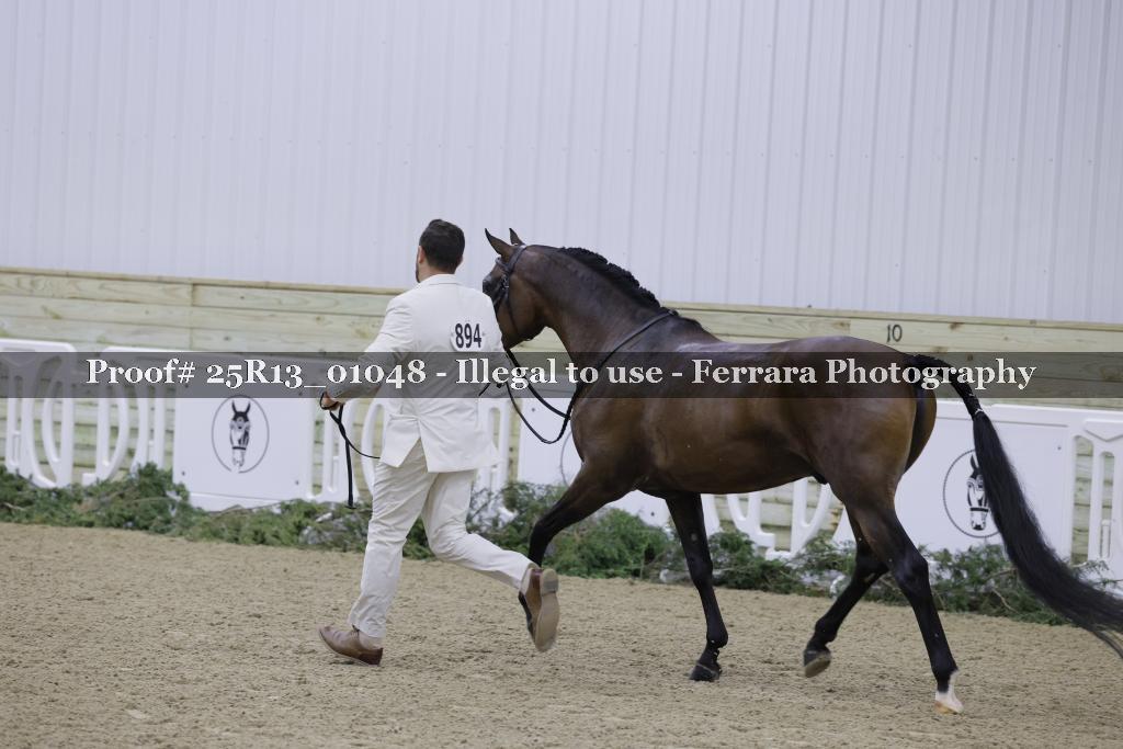 Proof 25R13_01048