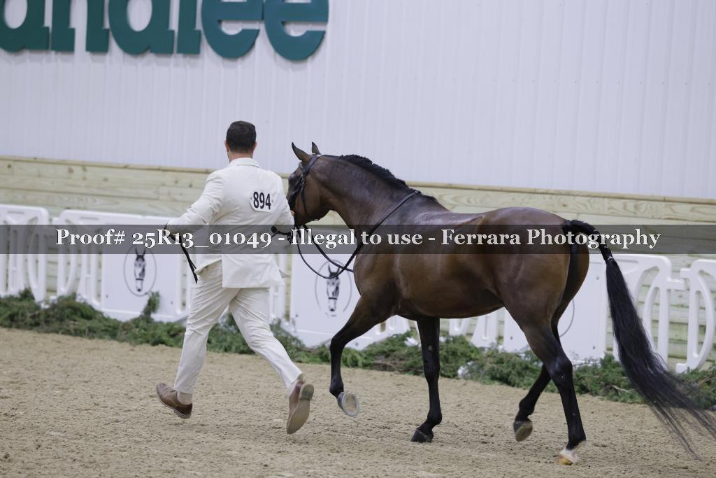 Proof 25R13_01049