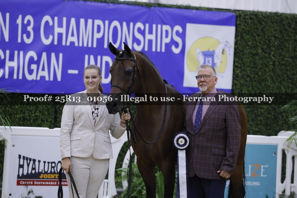 Proof 25R13_01056