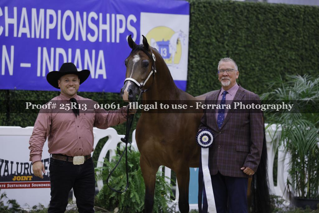 Proof 25R13_01061