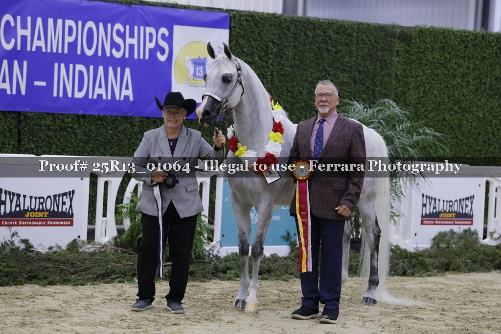 Proof 25R13_01064