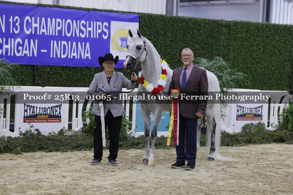 Proof 25R13_01065