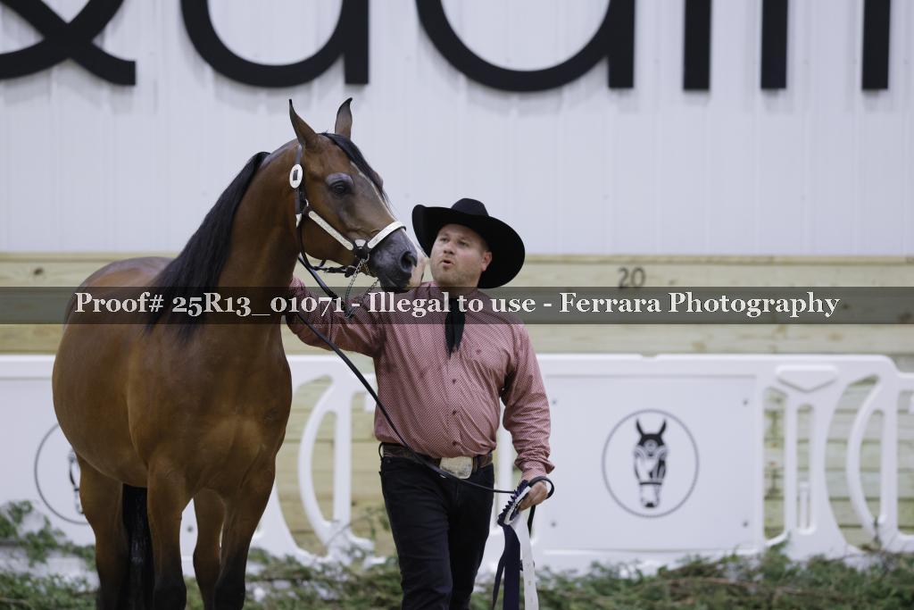 Proof 25R13_01071