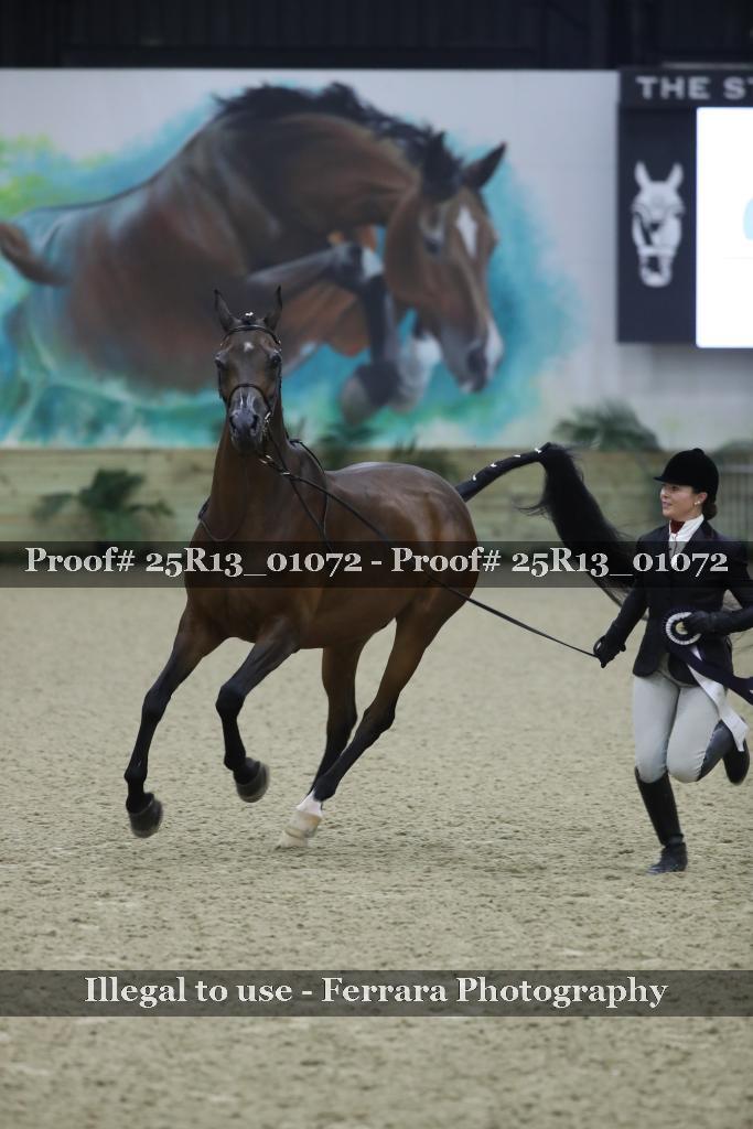 Proof 25R13_01072