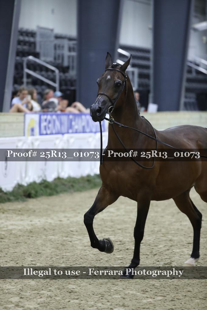 Proof 25R13_01073