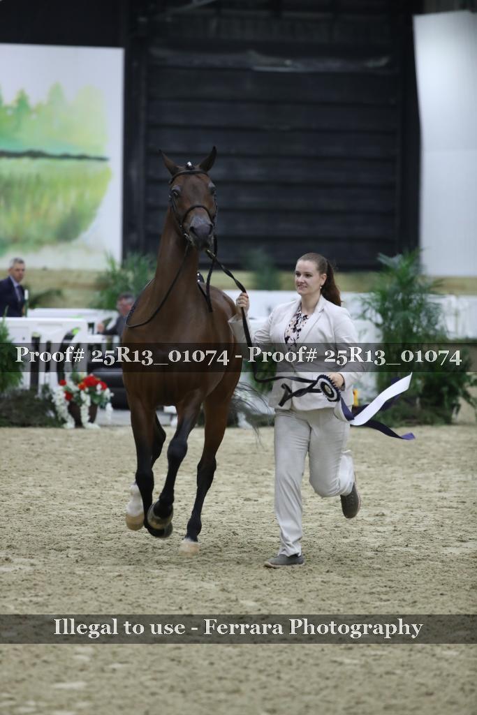 Proof 25R13_01074