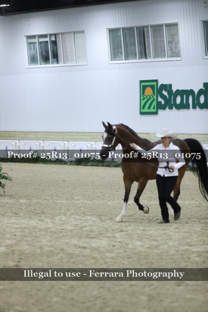 Proof 25R13_01075