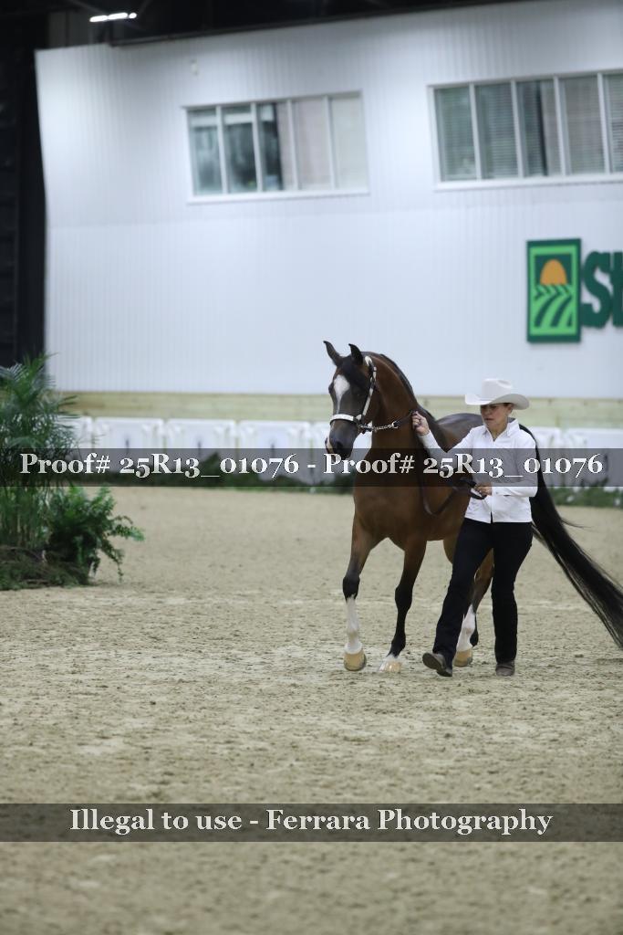Proof 25R13_01076