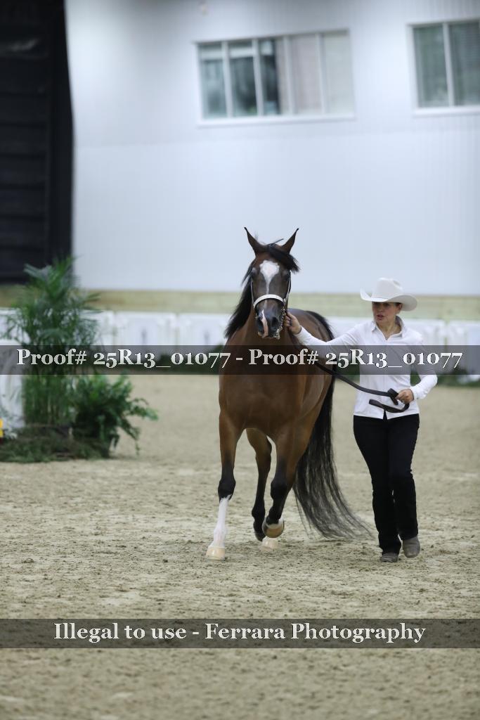 Proof 25R13_01077