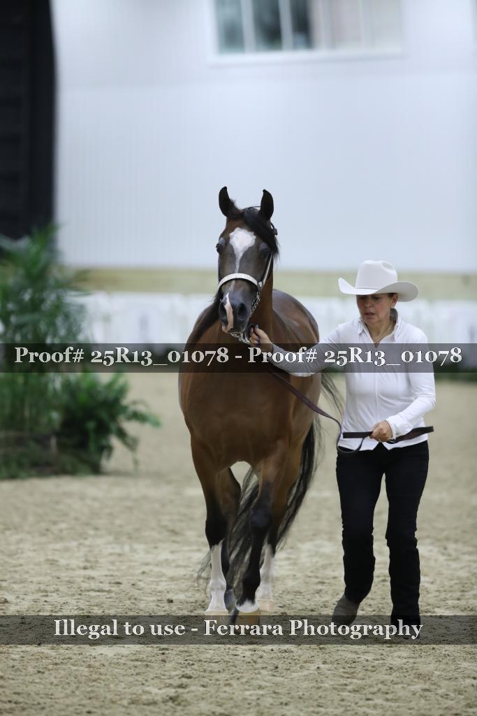 Proof 25R13_01078