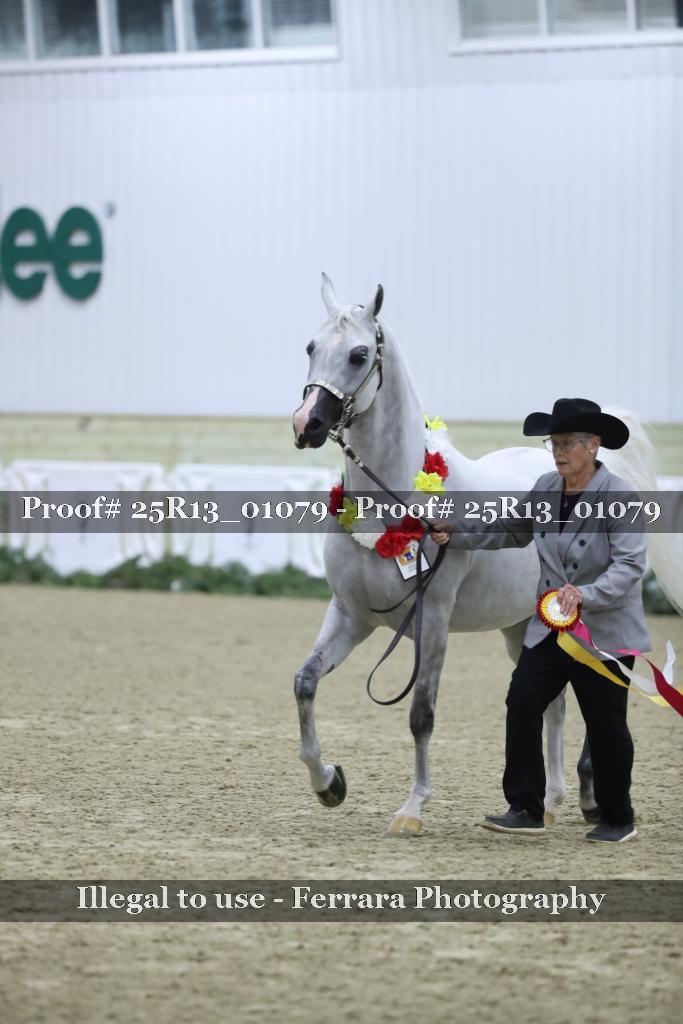 Proof 25R13_01079