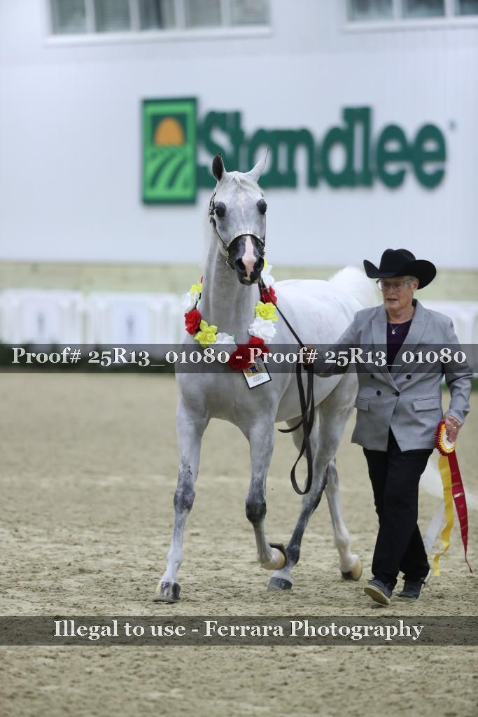 Proof 25R13_01080
