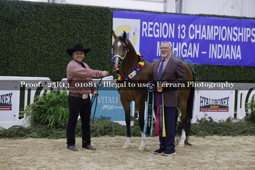 Proof 25R13_01081