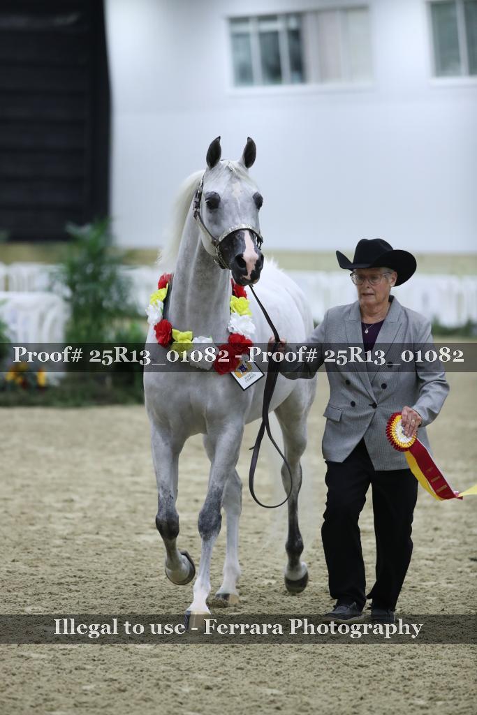 Proof 25R13_01082