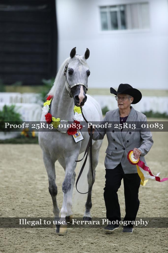 Proof 25R13_01083