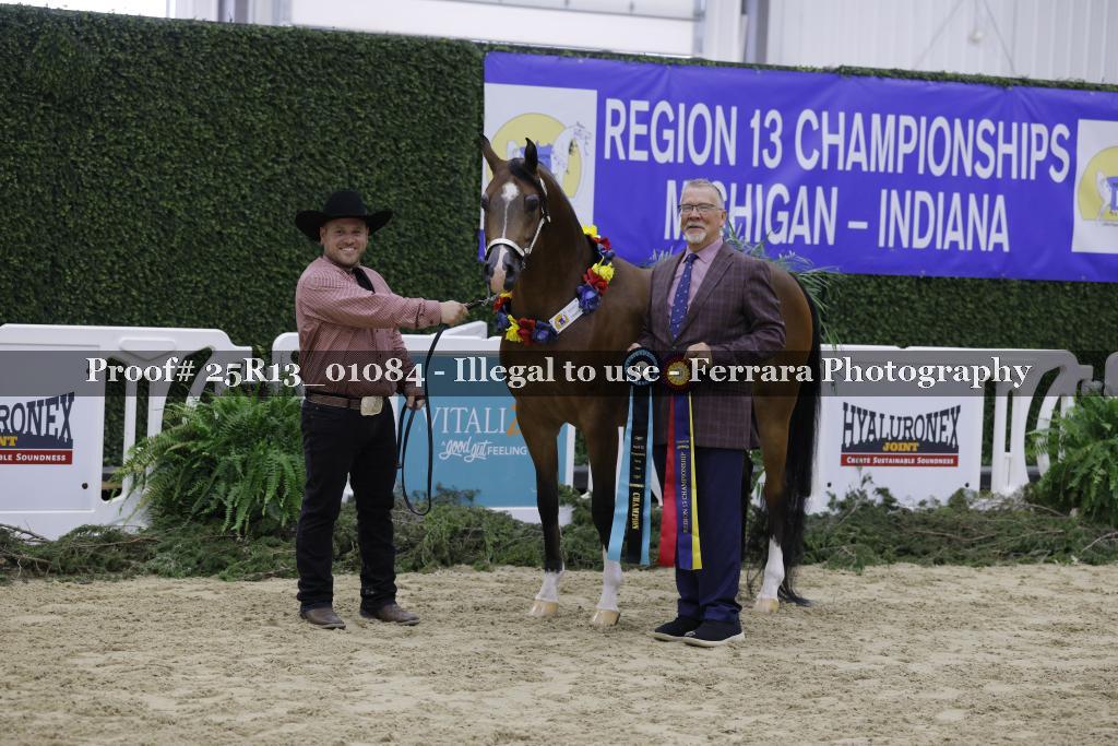 Proof 25R13_01084