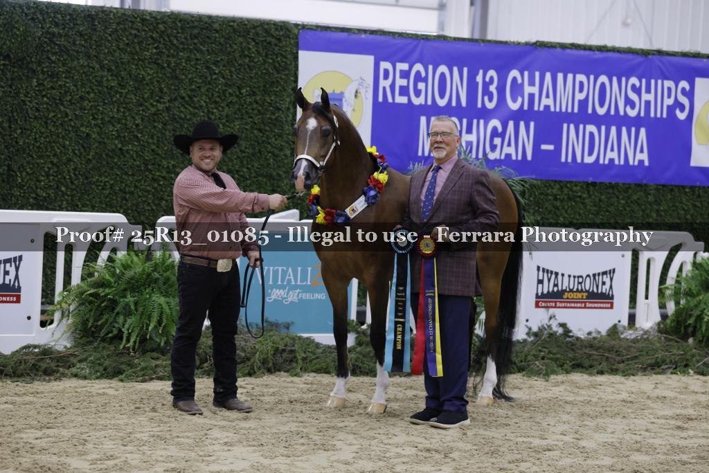 Proof 25R13_01085