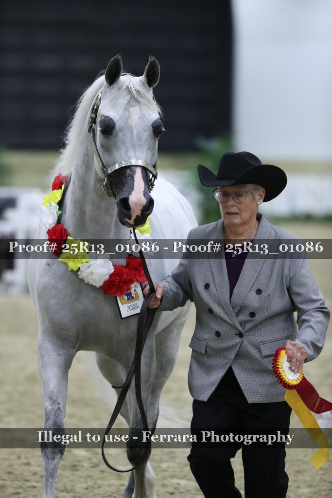Proof 25R13_01086