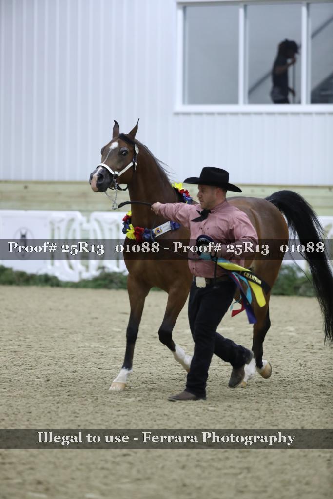 Proof 25R13_01088