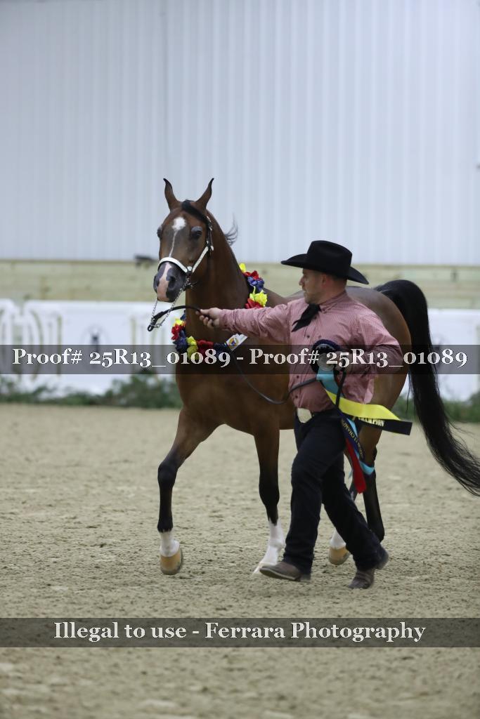 Proof 25R13_01089