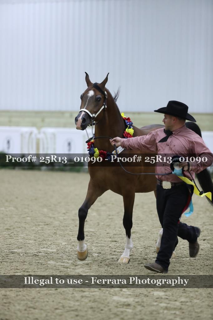 Proof 25R13_01090