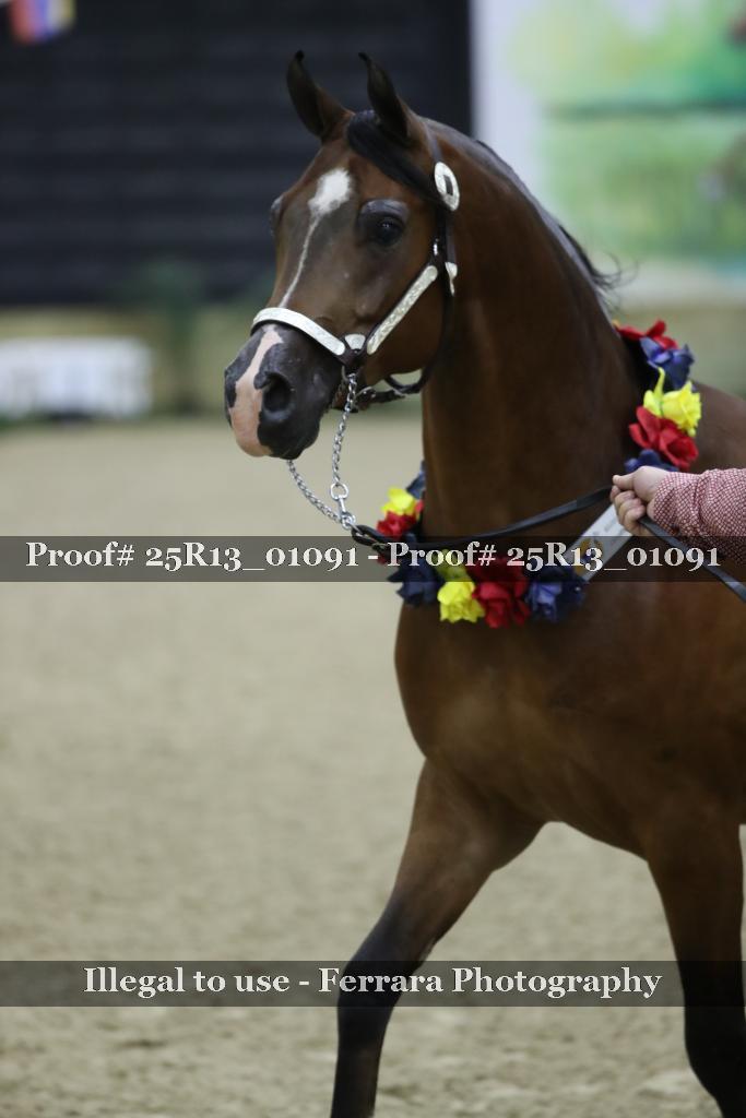 Proof 25R13_01091