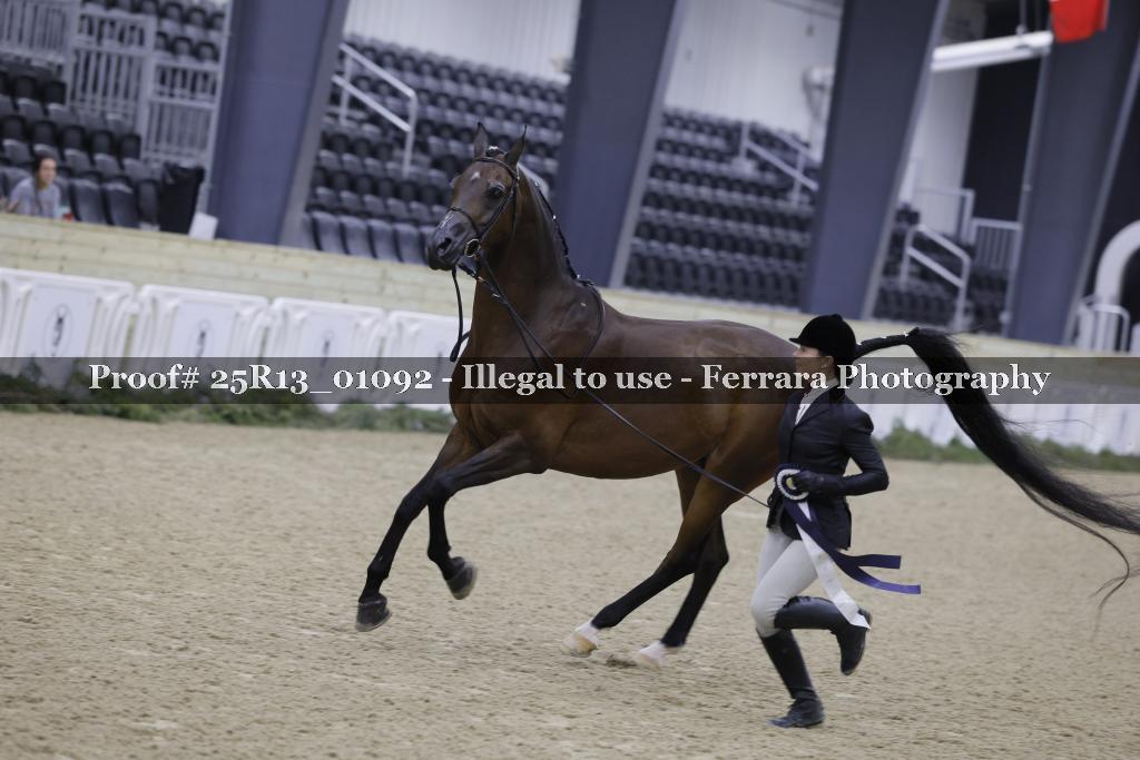 Proof 25R13_01092