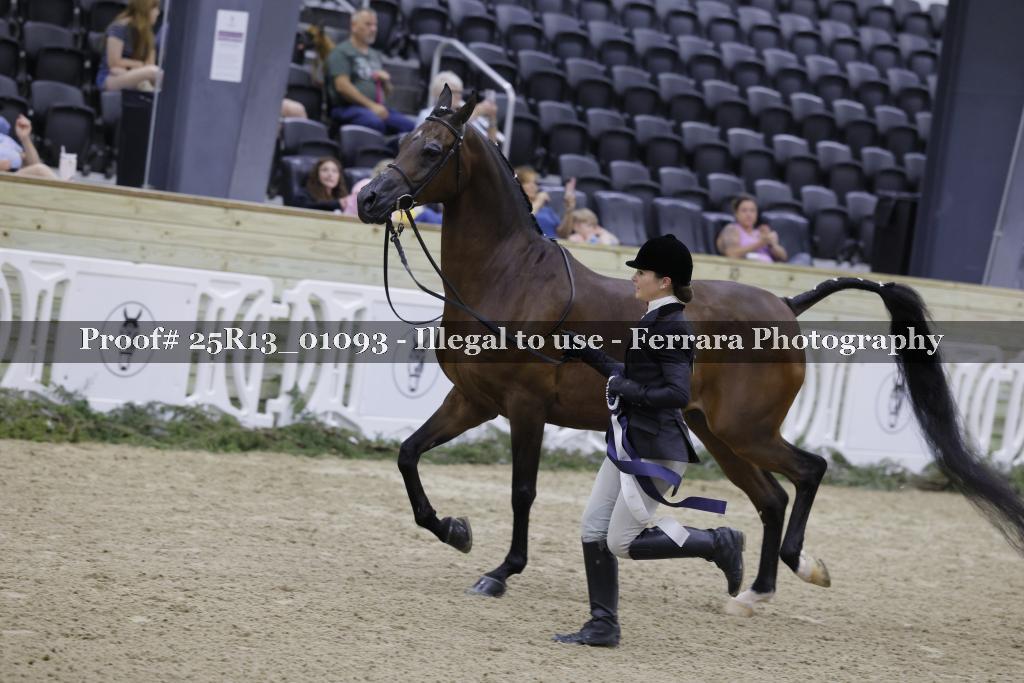 Proof 25R13_01093