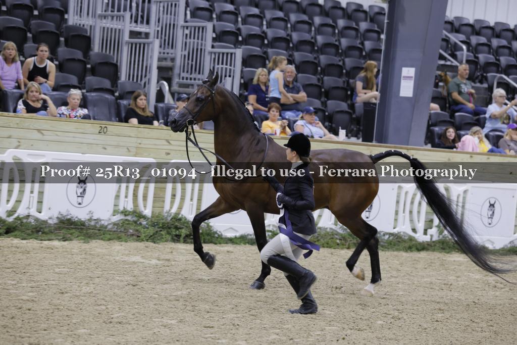 Proof 25R13_01094