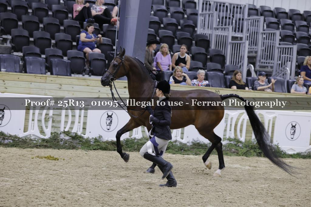 Proof 25R13_01095