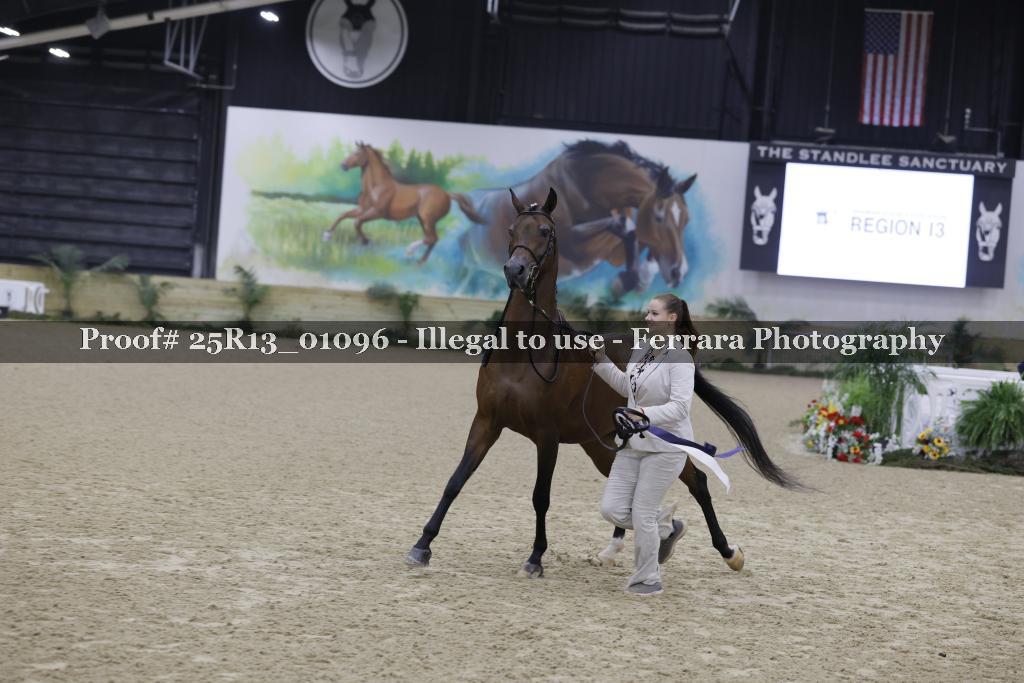 Proof 25R13_01096