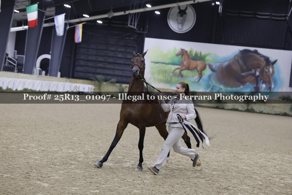 Proof 25R13_01097