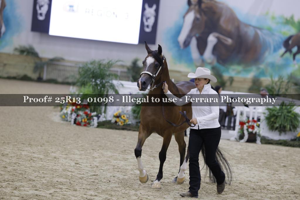 Proof 25R13_01098