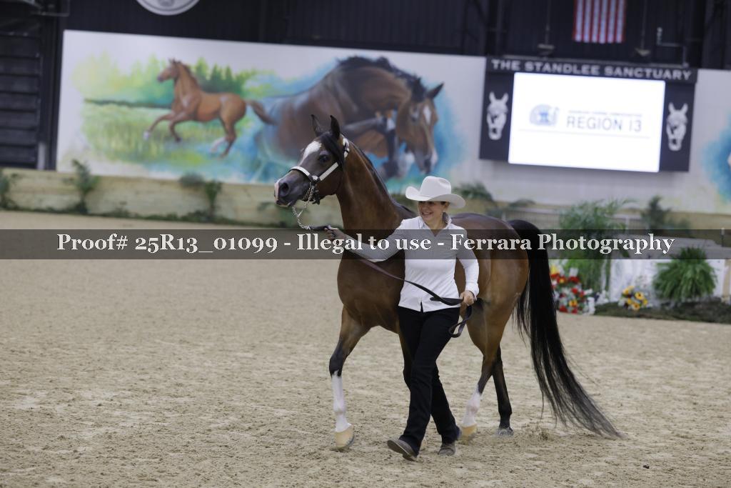 Proof 25R13_01099